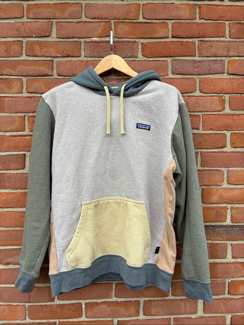 Patagonia Men's Colorblock Pullover Hoodie